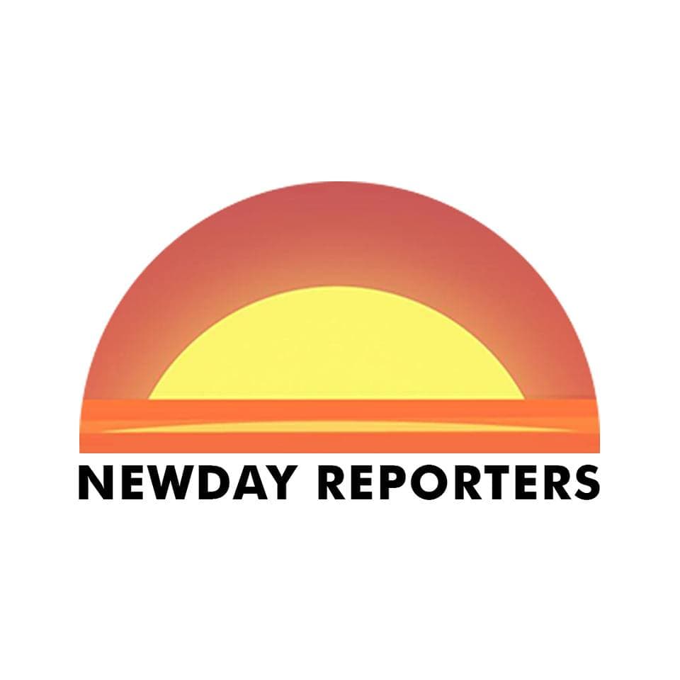 Newsdaily logo